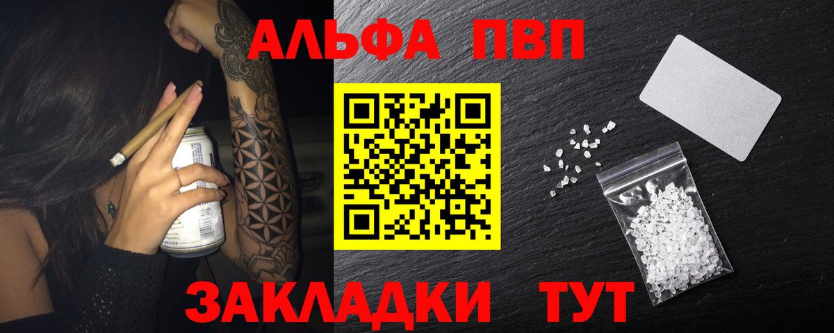 Альфа ПВП СК Великий Устюг