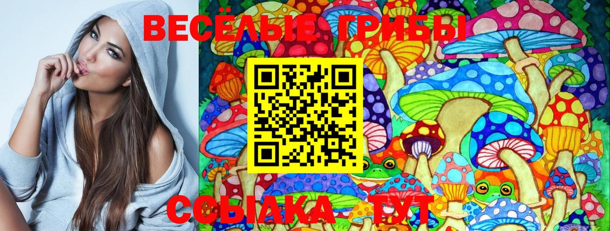 Галлюциногенные грибы MAGIC MUSHROOMS Великий Устюг