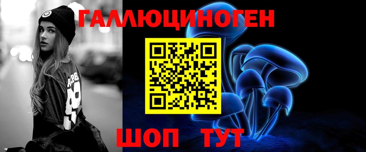 Великий Устюг  Галлюциногенные грибы Psilocybine cubensis  Вход с VPN 